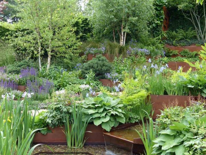 Taille de haies Pierrelaye