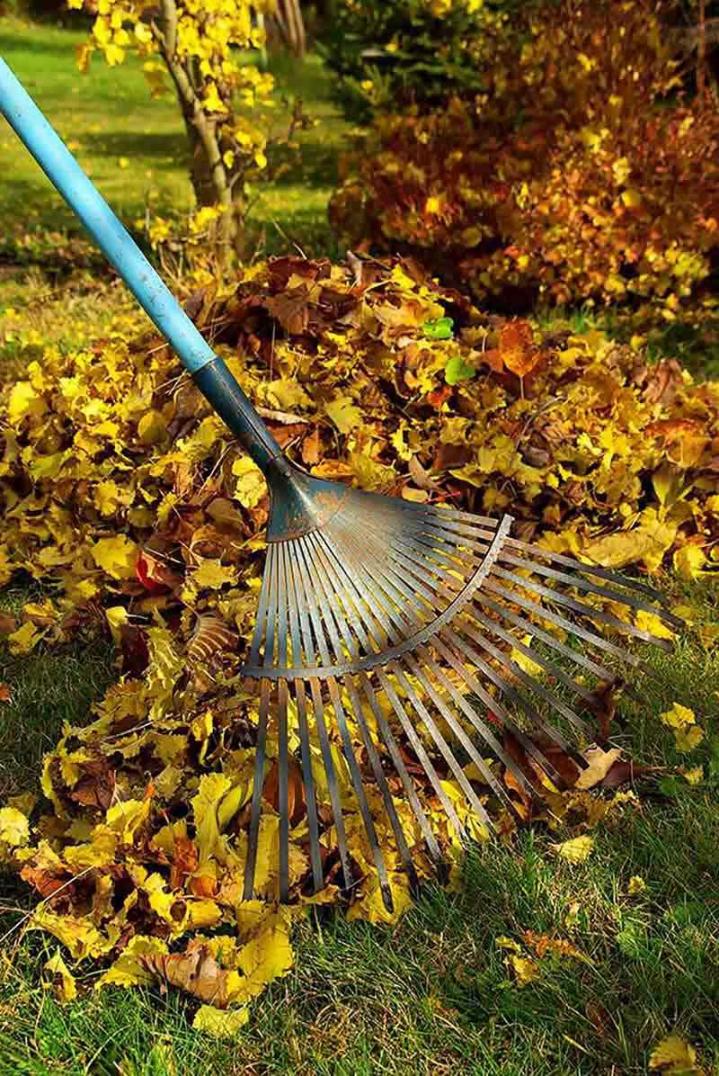  Ramassage des feuilles Pierrelaye