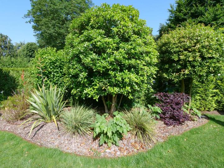 Entretien de jardin – Pierrelaye