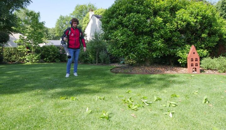 Entretien de gazon – Pierrelaye