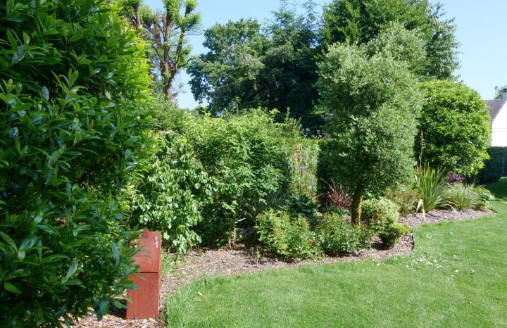 Taille de haies Pierrelaye