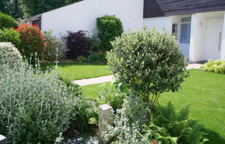 Taille de haies Pierrelaye