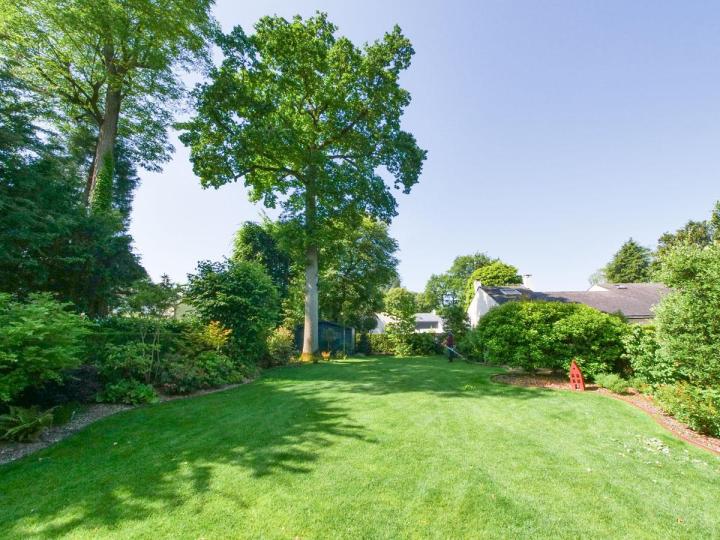 Entretien de gazon – Pierrelaye