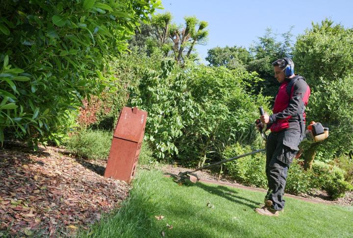 Entretien de gazon – Pierrelaye