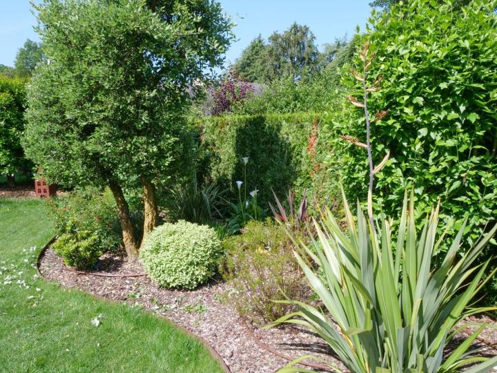 Entretien de jardin – Pierrelaye
