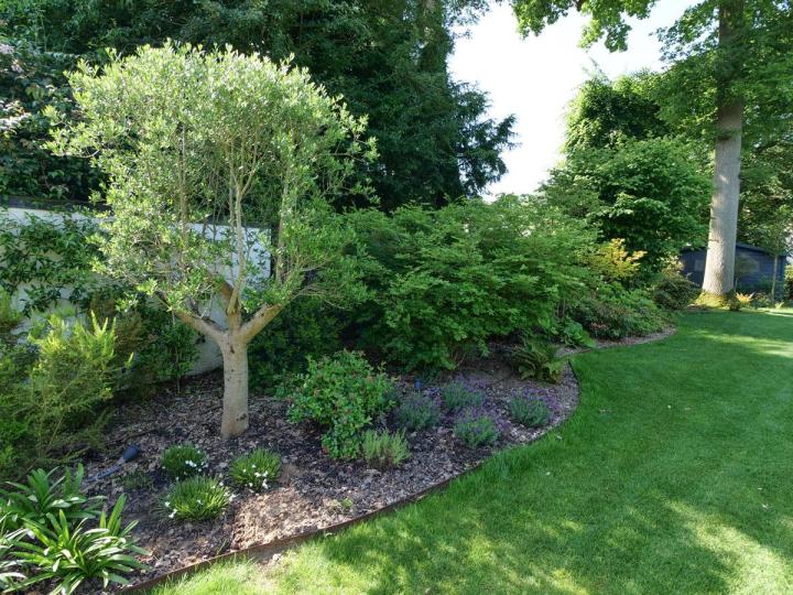 Entretien de gazon – Pierrelaye