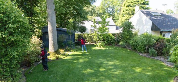 Entretien de jardin – Pierrelaye