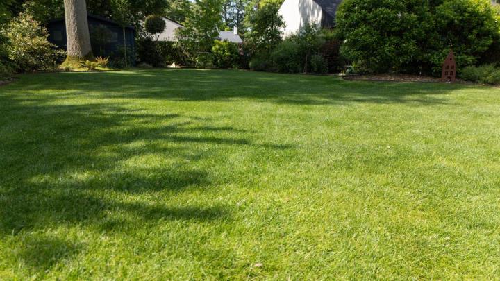 Entretien de gazon – Pierrelaye