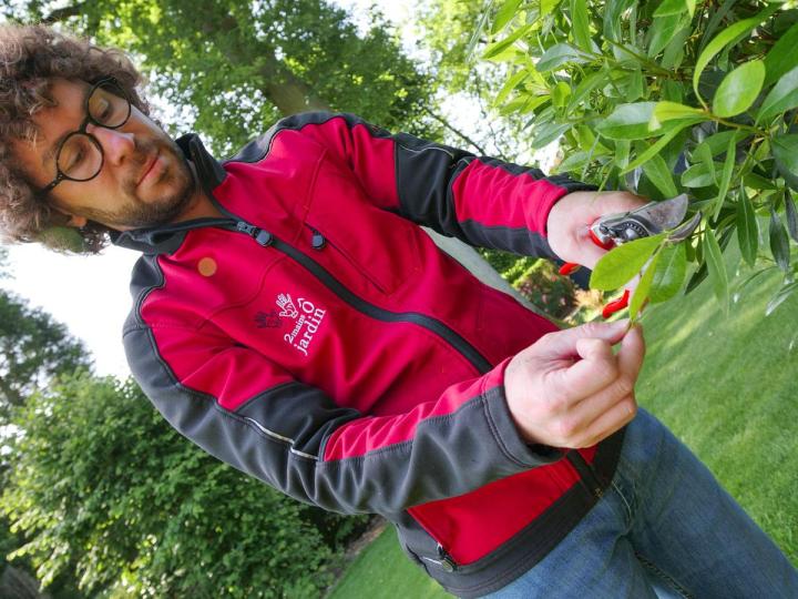 Taille de haies Pierrelaye